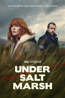 Постер к сериалу Под солончаком